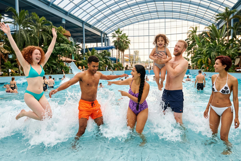 Therme Bucharest Palm, Galaxy or Elysium Access & Transfer 12 HOURS Therme Bucharest Palm, Galaxy Access & Transfer