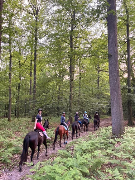 Paris: Aumont-en-Halatte Horseback Riding Tour
