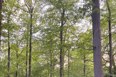 巴黎：奥蒙-昂-哈拉特骑马之旅巴黎：奥蒙-昂-哈拉特骑马游览