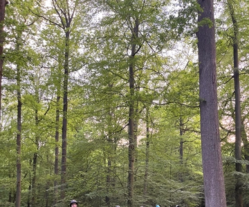 Paris: Aumont-en-Halatte Horseback Riding Tour