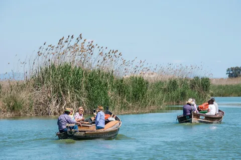 Desde Valencia: Tour privado de la Albufera, paella y paseo en barco