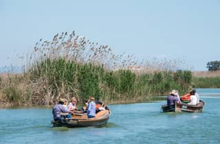 Albufera: private Tagestour mit Paella, Bootsfahrt und Naturspaziergang