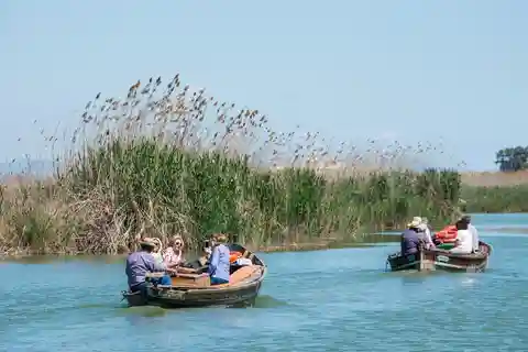 De Valência: Tour particular pela Albufera, Paella e passeio de barco