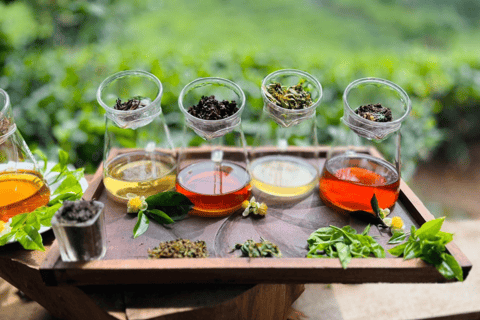 Ella: Tea-Making Experience, Tasting, Snacks with Tuk-Tuk