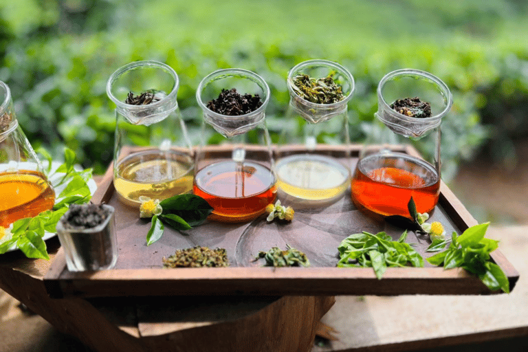 Ella: Tea-Making Experience, Tasting, Snacks with Tuk-Tuk