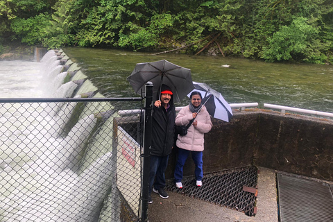 4TOUR COMBO LUX CAR:STANLEY PARK/CAPILANO LAKE/DAM/HATCHERY