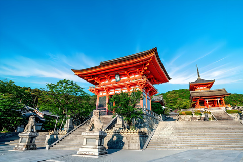 Osaka/Kyoto: Passeio em pequenos grupos pelo Património Mundial da UNESCO de Quioto e NaraPartida de Quioto