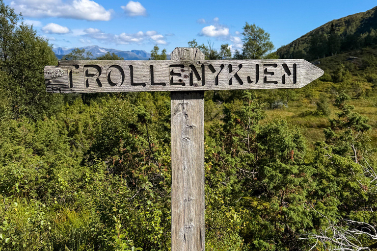 Nordfjordeid: Guided Trollenykjen Summit Hike