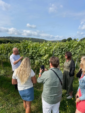 Brighton: Sussex Wine Region Walking Tour with Tastings