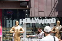 Van Anaheim benadrukt LA Sightseeing Tour - Housity