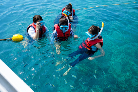 From Bangkok: Koh Larn Island and Art in Paradise Day Trip