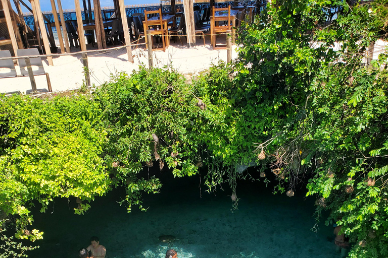Zanzibar: Salaam cave sea turtles, Star fish & Blue Lagoon Tour without hotel pick up and drop off