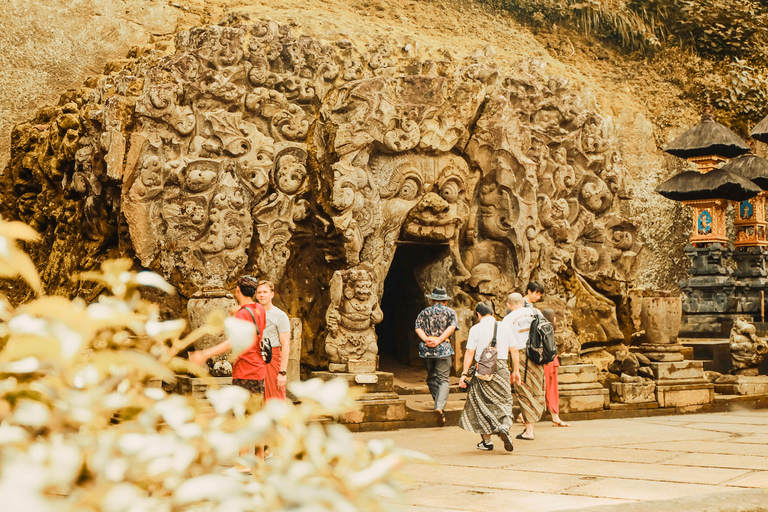 Bali: cascada, la cueva del Elefante y los campos de arrozOpción estándar privada