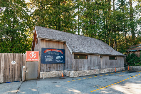 Vancouver: Seaplane Flight &amp; Capilano Suspension Bridge Park