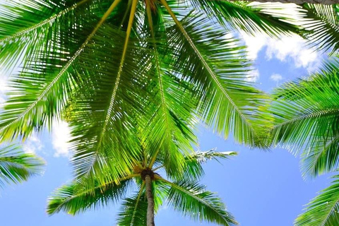 Catalina Island: All-Inclusive Boat Excursion Punta Cana: Catalina Island, an all-inclusive boat excursion
