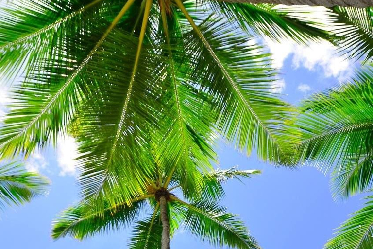 Catalina Island: All-Inclusive Boat Excursion Punta Cana: Catalina Island, an all-inclusive boat excursion