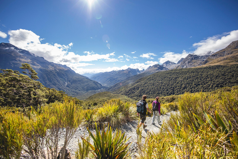 From Te Anau: Milford Sound Cruise & Key Summit Hike