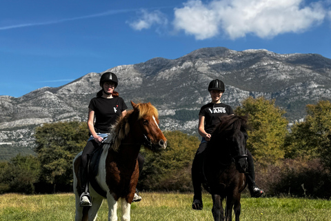 Dubrovnik: Horse Riding with local guide - beginner friendly