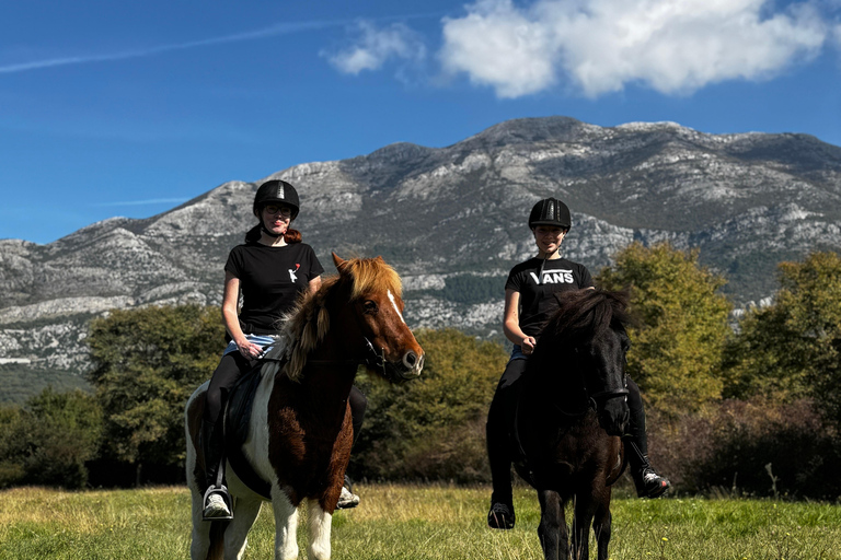 Dubrovnik: Horse Riding with local guide - beginner friendly