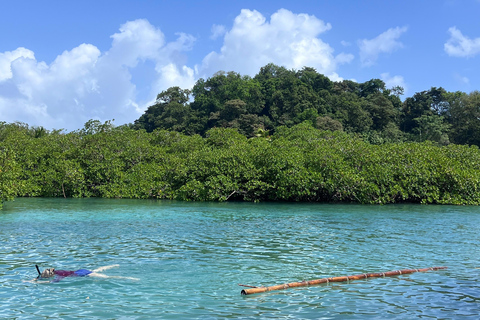 Gira 4 en 1 Portobelo, Cristo Negro, Venas Azules y Playa Blanca