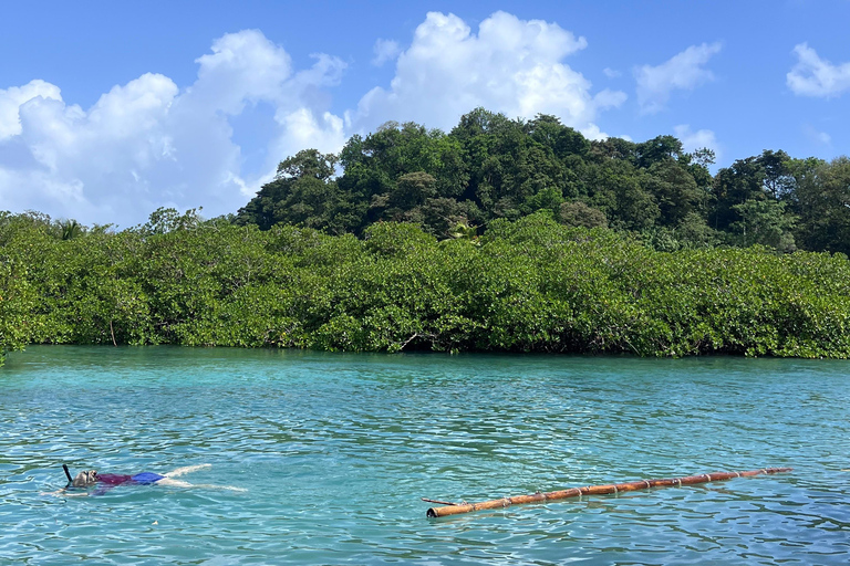 Gira 4 en 1 Portobelo, Cristo Negro, Venas Azules y Playa Blanca