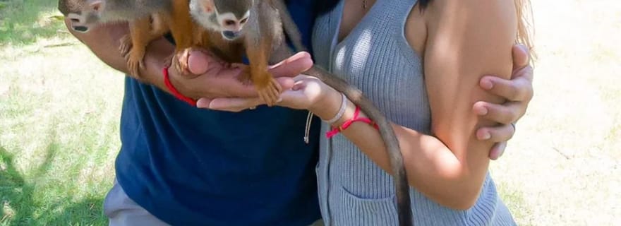 Visite de Monkeyland et d'une plantation depuis Puerto Plata