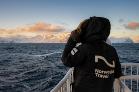 Tromsø: 24 ore di crociera per avvistare le balene e l&#039;aurora boreale