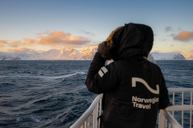 Tromsø: 24 ore di crociera per avvistare le balene e l&#039;aurora boreale