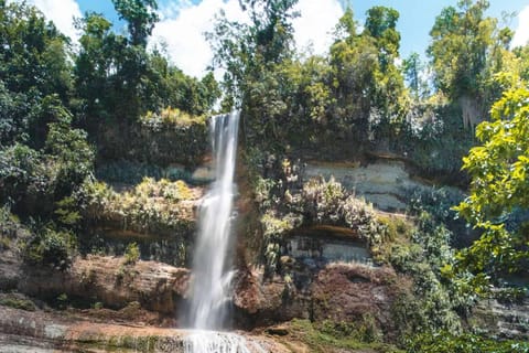 Bohol Chasing Waterfalls with Cadapdapan Rice Terraces - Image 2