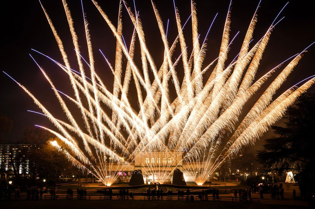 Kursalon Vienna: New Years Eve Concert, Fireworks & Party