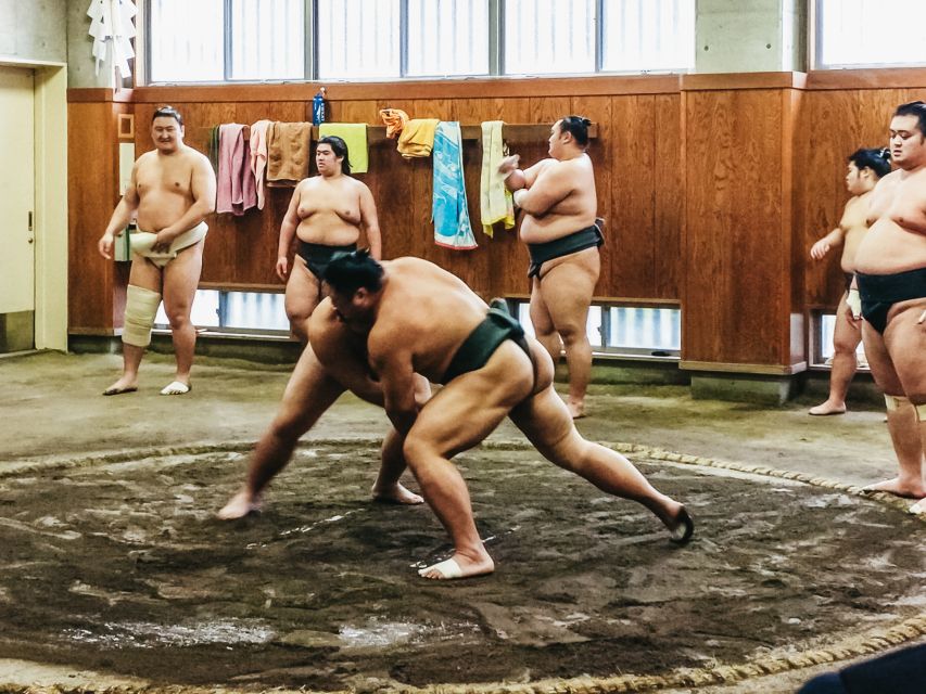 Los orígenes del sumo: arte marcial y tradición