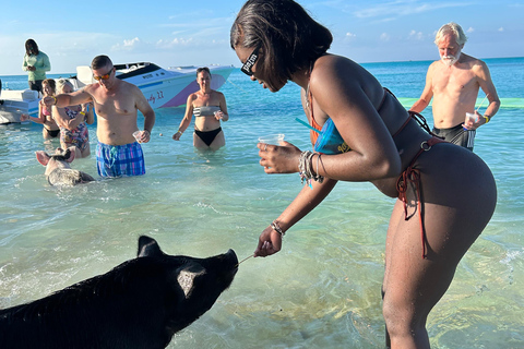 007-Mañana Todo Incluido Nadar con Cerdos en la Isla Rosa007 Todo Incluido-Nadar con cerdos en la Isla Rosa