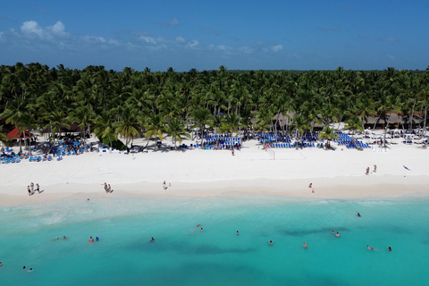 Punta Cana: Saona Island & Altos de Chavón Day Trip
