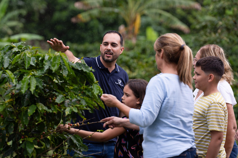 Jayuya : Visite et atelier sur le café à l'Hacienda Prosperidad