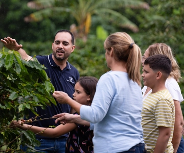 Jayuya: Coffee Tour and Workshop at Hacienda Prosperidad