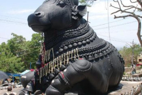 Bangalore Day Tour: Lalbagh, Tipu Palace & Bull Temple