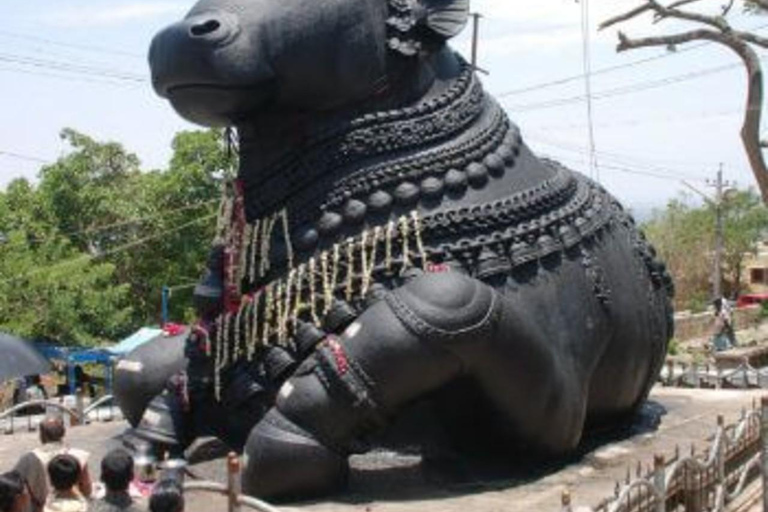 Bangalore Day Tour: Lalbagh, Tipu Palace & Bull Temple