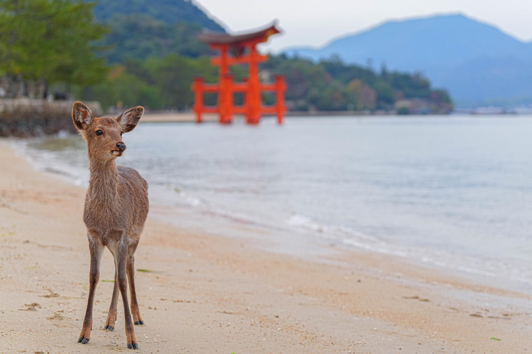 1-tägige Miyajima &amp; Iwakuni Tour: Ikonische japanische Landschaften