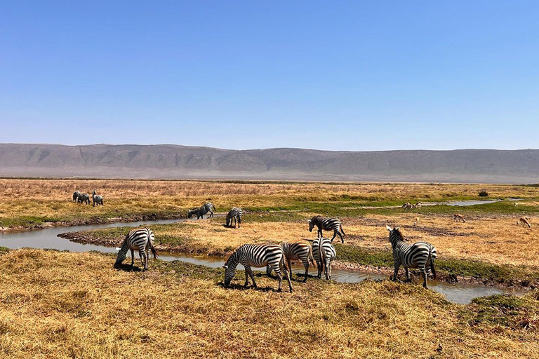 Viagem de 1 dia para a cratera de NgorongoroViagem de 1 dia à Cratera de Ngorongoro