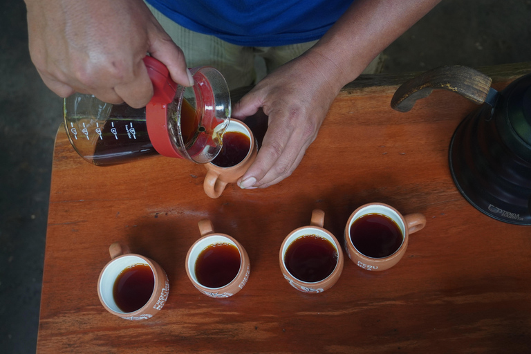 Cusco: Specialty Coffee Tasting-Sensory Experience (2 Hours)
