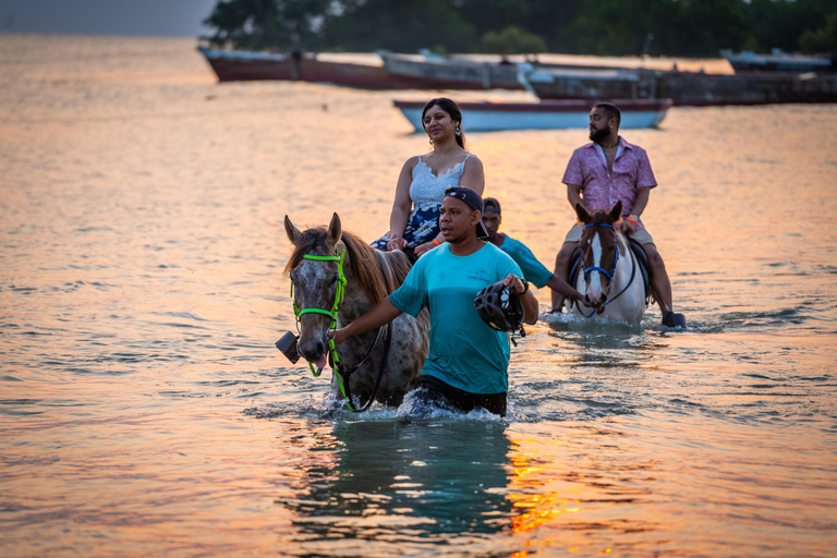 Zanzibar: Horseback Riding Experience