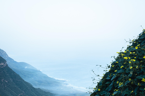 Salalah: Private Fazayah Beach Full-Day Tour 4x4 (1-4 guests)