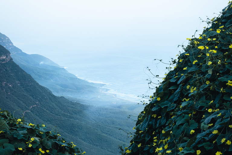 Salalah: Private Fazayah Beach Full-Day Tour 4x4 (1-4 guests)
