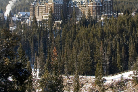 Visite privée d&#039;une journée à Banff, Lake Louise, Gondola et plus encore