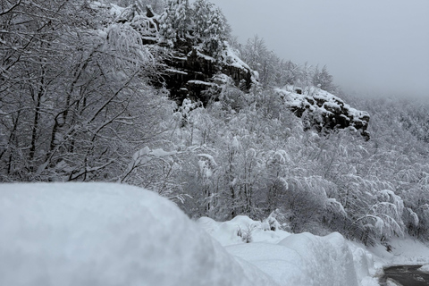 Shkoder: Theth National Park Day Tour with Local Guide