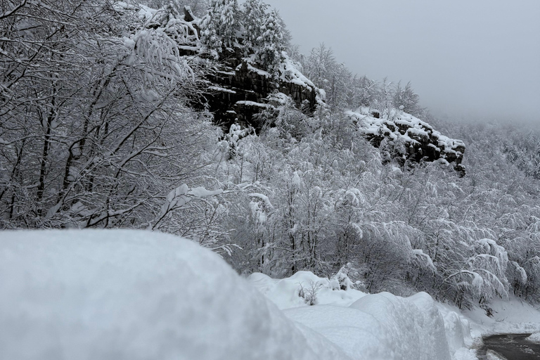 Shkoder: Theth National Park Day Tour with Local Guide