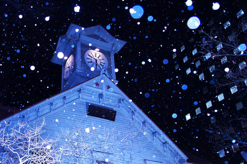 Sapporo: Illuminated Landmarks and TV Tower Night View Tour