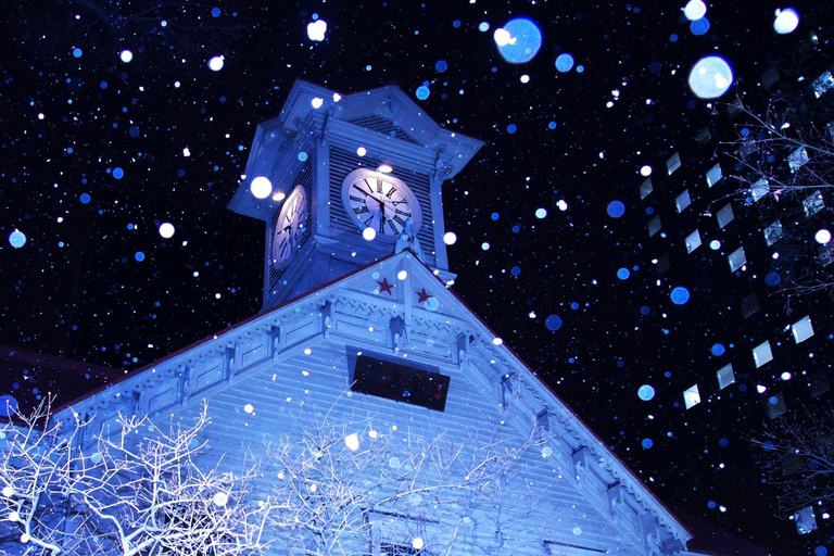 Sapporo: Illuminated Landmarks and TV Tower Night View Tour