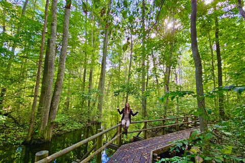 Ķemeri Great Bog With Optional Sunrise & Jūrmala Visit Ķemeri Bog Shared Small Group Tour