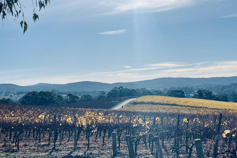 Tour delle colline di Adelaide